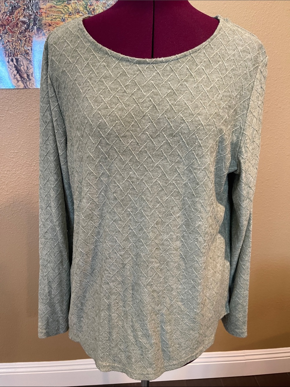 Mario Serrani Textured Long Sleeve Top in Sage Green